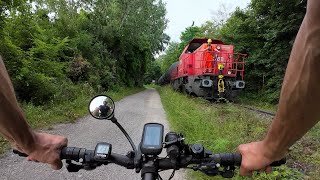 Cycling 17062024 F Lobau [upl. by Aihsakal]