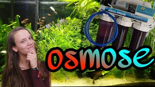 OSMOSE water in het AQUARIUM wat is osmose Nickey [upl. by Matless]