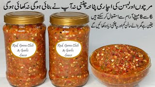 Chatpati Lahsun ki Chatni  Mirch or lahsan ki chatni  Chili Garlic sauce  Chutney  achar chatni [upl. by Crifasi]