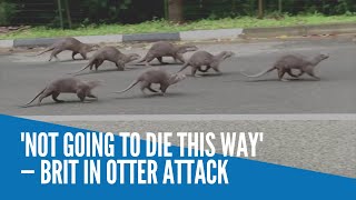 Not going to die this way — Brit in otter attack [upl. by Yurt294]