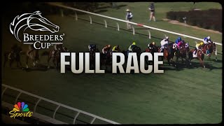 Breeders Cup 2024 TAA Stakes Full Race  NBC Sports [upl. by Adnohsor]