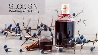 The Best Sloe Gin Recipe  Easy to Make Sloe Gin recipe [upl. by Wetzell516]