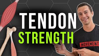 The Science of Bulletproof Tendon Training [upl. by Sully]