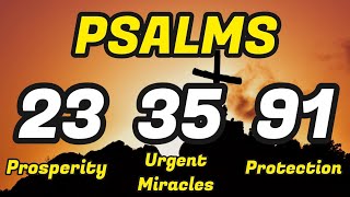 Psalms 233591 THE ESSENTIAL PSALMS FOR ABUNDANCE BREAKING SPELLS AND PROTECTION [upl. by Annaehs505]