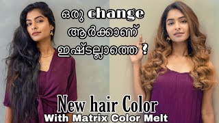 Tried the Hottest Hair Color Trend  Matrix Color Melt Amazed with the results  Asvi Malayalam [upl. by Lomaj813]