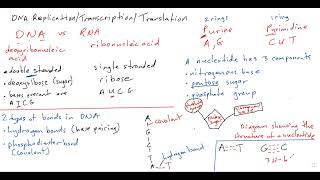 CAPE Biology Unit 1 DNA Replication explained in full details dnareplication capebiology [upl. by Lail583]