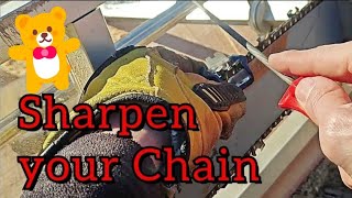 Sharpen your chain with ease chainsaw husqvarna woodworking [upl. by Eelyk]