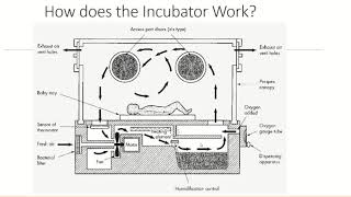 The ICU Baby Incubator [upl. by Sonnie731]