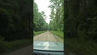 edisto sc river access road after hurrican debby [upl. by Atorod41]