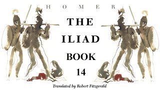 The Iliad  Book 14  Full Audiobook [upl. by Parry380]