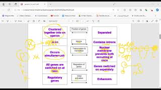 Lac Operon  Try Operon  Transcription control of gene regulation [upl. by Santiago]