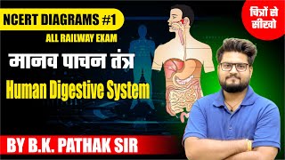 Human Digestive System NCERT Diagrams For RRB Railway Exam By BK Pathak Sir [upl. by Odnalra292]