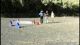 Pro Tips for Cavaletti Training – How to Space Cavaletti Horse Jumps [upl. by Dremann13]