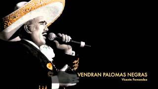 Vicente Fernandez  Vendran Palomas Negras [upl. by Yrailih]