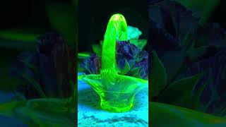 Uranium Glass Light Show  Glass That Glows Under UV Light  Table Setting shorts [upl. by Tut318]