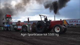 Trekkertrek Achtmaal 21 April 2024 Agri Sportklasse tot 5500 kg [upl. by Ytineres]