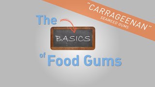 Carrageenan  The Basics of Food Gums [upl. by Nerro]