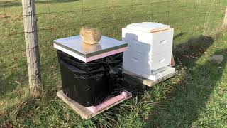 How to winterize bee hives [upl. by Rafaelle159]