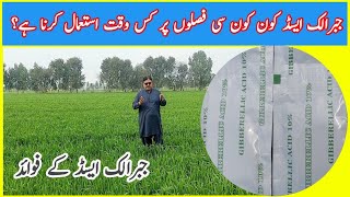 How to use Gibberellic acid all Crop information Wheat vegetable and garden farming [upl. by Leblanc]