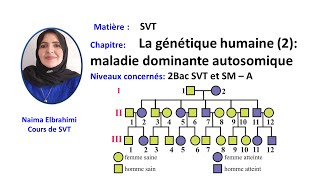 Cours SVT 2 Bac Biof La génétique humaine 2maladie dominante autosomique 2Bac SVT et SM – A [upl. by Etnuaed610]