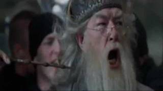 Dumbledore Screaming [upl. by Shandra]