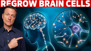 Renew amp Protect Your Brain Cells  Brain Derived Neurotrophic Factor – Dr Berg [upl. by Komara]