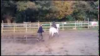 Charlottes Third riding lesson Horse riding for beginners [upl. by Somar785]