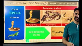 Phylum Chordata part 2 class 11 and neet [upl. by Pisano]