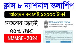 class 8 National scholarship 2024 🔥 NMMSE Scholarship Class 8 2024 📝Class 8 Scholarship Information [upl. by Dev]