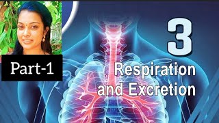 chapter 3 Respiration and Excretion class9Biology scert biology science [upl. by Etti471]