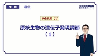 【高校生物】 遺伝14 原核生物の遺伝子発現調節（１）（１４分） [upl. by Jules417]