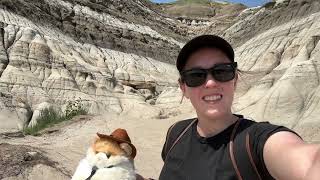 Deans Destination  Drumheller Alberta Dinosaur Horseshoe Canyon Suspension Bridge amp Hoodoos [upl. by Aihn]