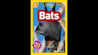 Bats National Geographic Kids [upl. by Richela823]