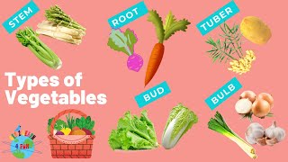 Types of Vegetables for kids  Root  Stem Pod  Tuber  Bud  Bulb  Learn Vegetables [upl. by Yawnoc]