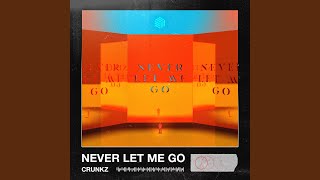 Never Let Me Go [upl. by Adnarb]