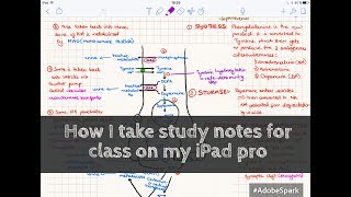 How I take studynotes in Notability on my iPad pro Paperless Student [upl. by Jepum610]