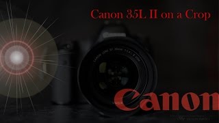 Canon 35L II on a Crop APSC  Worth Using [upl. by Edithe]