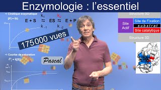 Enzymologie  lessentiel de ce quil faut en savoir [upl. by Neelrahc715]