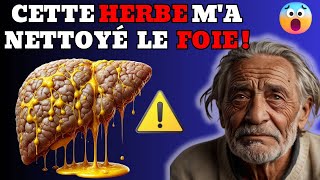 Comment 1 Tasse par Jour a Nettoyé Mon Foie Gras Tu Dois lEssayer [upl. by Akirdnwahs]