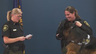 Multnomah County Sheriffs Office swears in new comfort dog [upl. by Aenej]