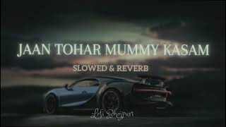 Jaan Tohar Mummy Kasam Slowed amp Reverb  Lofi Song  lofibhojpuri [upl. by Inneg]