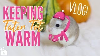 KEEPING TATER TOT WARM vlog [upl. by Valerio137]