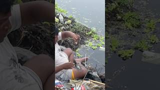 Original telapiya mach uthlo 🎣🐟 hookfishingtips shortvideo fish shorts short nature [upl. by Comras]