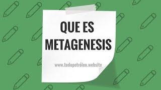 Que es METAGENESIS [upl. by Quartas700]