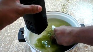 get rid of green algae in your tank [upl. by Edylc33]