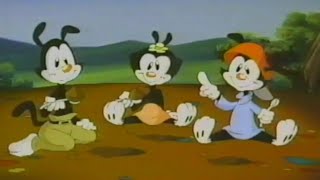 Animaniacs Christmas Special Commercial Breaks Fox Kids 29 WUTV Buffalo 1994 [upl. by Boylan]