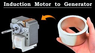 220v Induction Motor to 12v AC Generator Brushless  Awesome Idea DIY [upl. by Eniowtna]