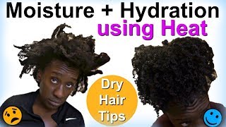 Hydrating amp Moisturizing Natural Hair w Heat  LOC Method on 4c Hair [upl. by Eeraj]