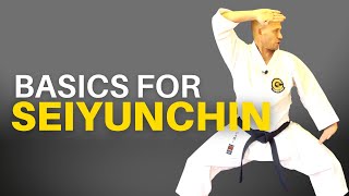 Seiyunchin Kata Basics for Goju Ryu [upl. by Binette682]