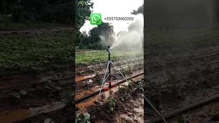 irrigation system in Agriculture Yuzuak Atom 40 irrigation tast tanzania farmer farming kilimo [upl. by Kim363]